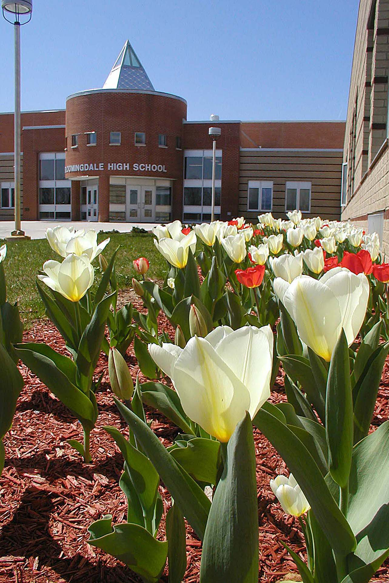 WakeUp Call Helps Rural School Bloom Michigan Capitol Confidential